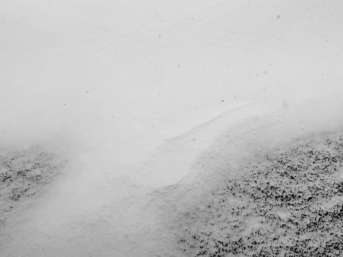 A Calm Start To 365 Days Of Disruption