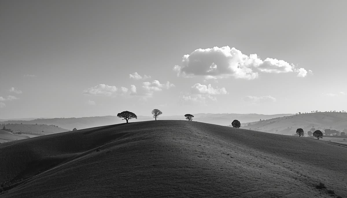 AI Disclosure and Ethics