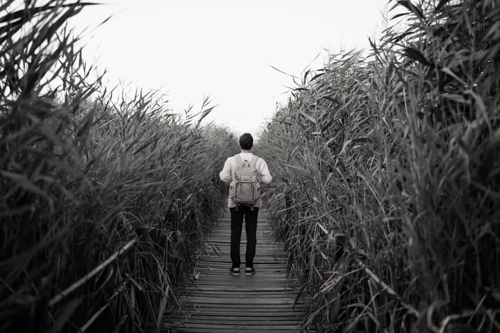 A man with a backpack walks through tall grass.